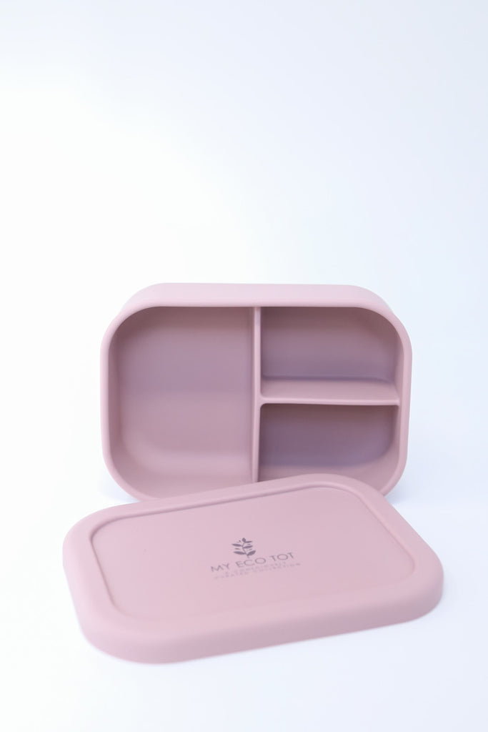 Eco Friendly Bento Box
